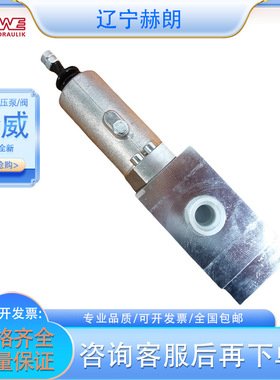 HAWE进口SL 5-52 H 160/160 A50 B165/EA-G 24 EX液压阀油泵阀