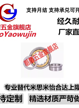 圆柱滚子轴承NU2305 2306 2307 2308 2309 2310 2311 2312 2313EM