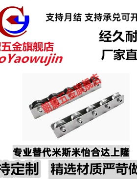 3009聚氨酯包胶流利条COROU/CRONUR/CROSUR滚轮条 QJA31/36-29/33