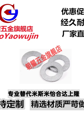 TBQ01防松动垫圈NLDF27/30/33/36/39/42/45/48/52/56/60/双叠自锁