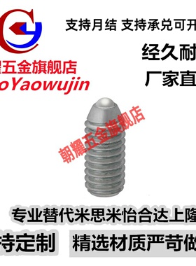 超重载型球头柱塞 BPQ3/4/5/6/8/10/12/16/20