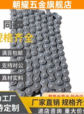 CHET40C-48/CHEL60/80/CHEL35/50/A/B-65/55链条CHES/C-CHEH96-U