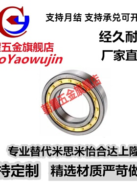 圆柱滚子轴承NUP204 205 206 207 208 209 EM