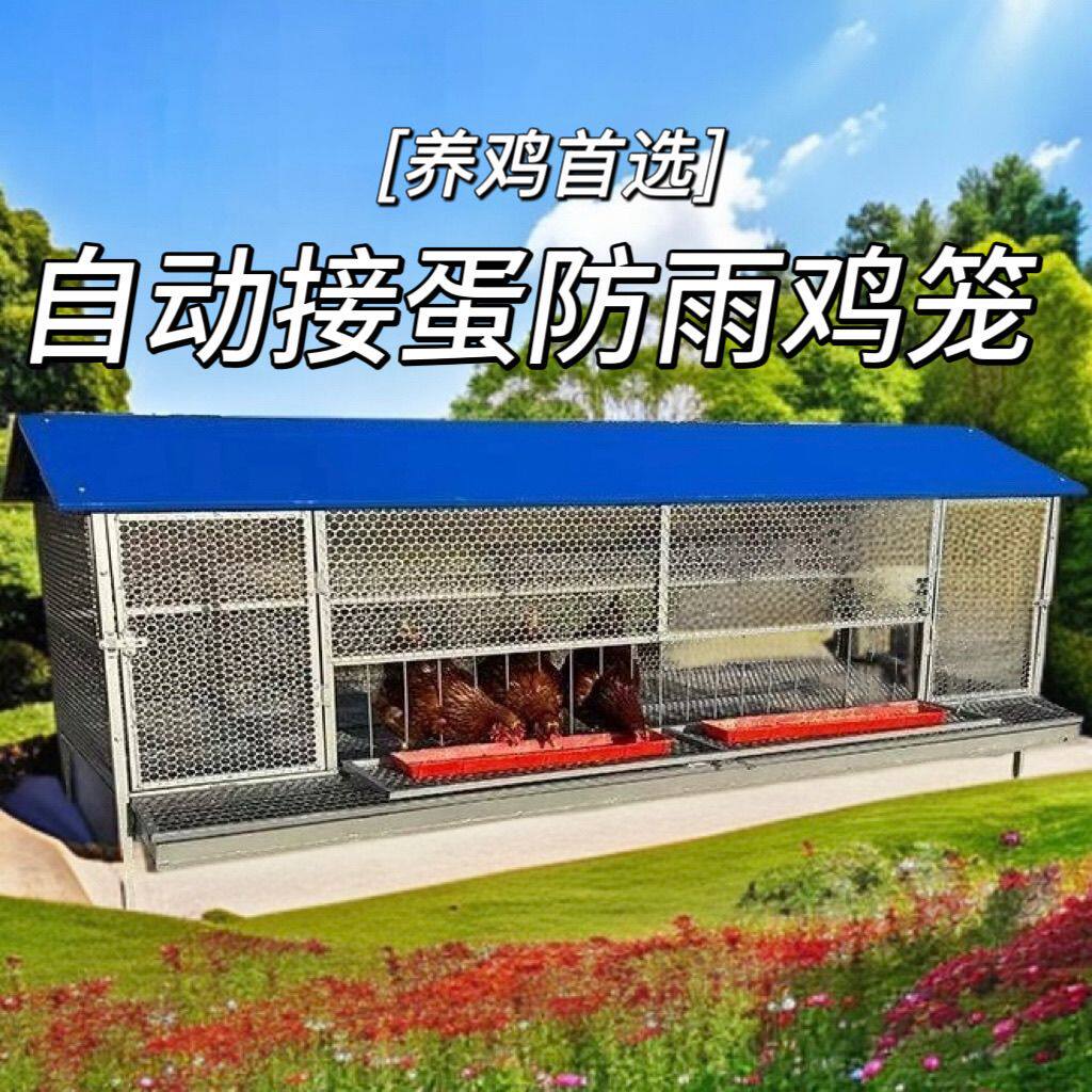 鸡笼子家用大号特大家禽养殖笼鸡鸭鹅笼加厚自动滚蛋鸡笼蛋托防护
