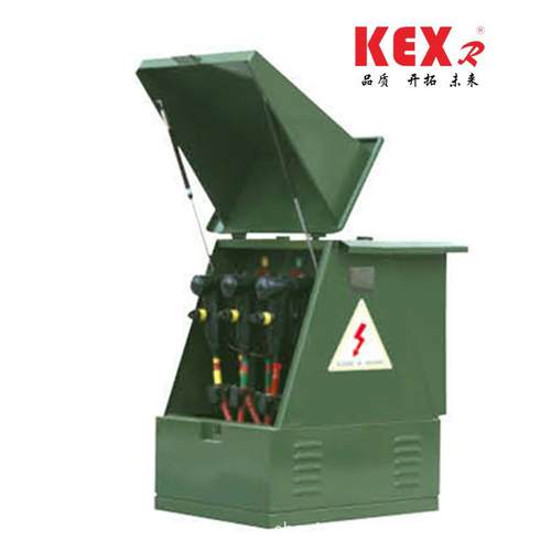 XGN-12/24KV六氟化硫开关环网柜户外分支箱开闭所