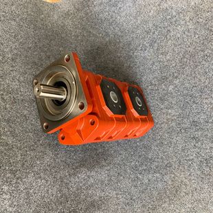 供应CBGJ2080 XF双联齿轮泵 1025