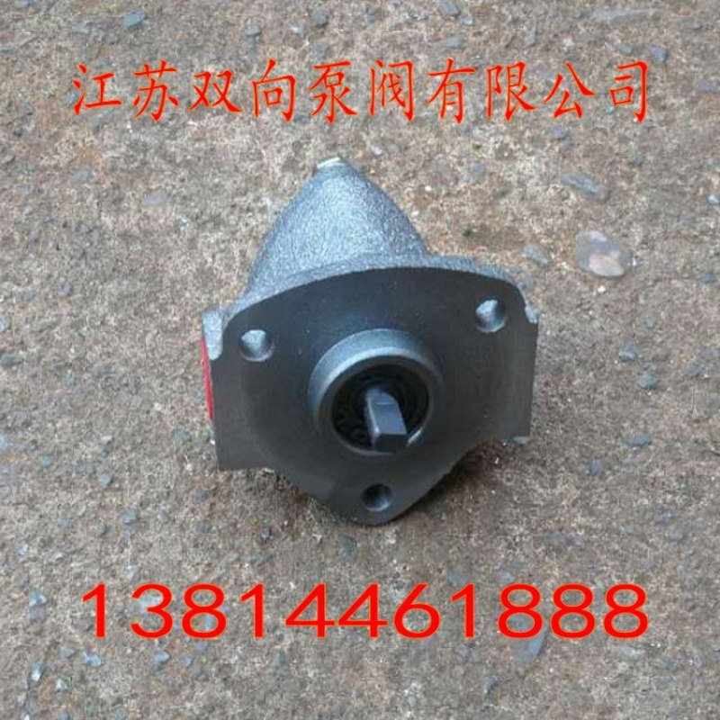 微型油泵BRB-1 BRB-2 BRB-3双向润滑泵 摆线泵 电动油泵 小齿轮泵