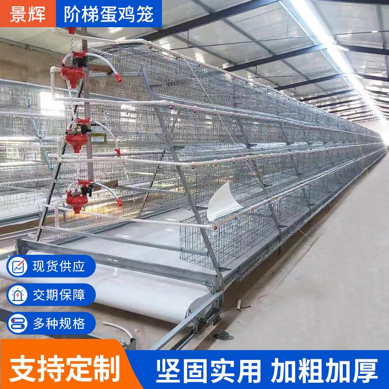 阶梯全自动鸡笼三层四层阶梯式蛋鸡笼立式鸡舍养鸡设备家禽养殖