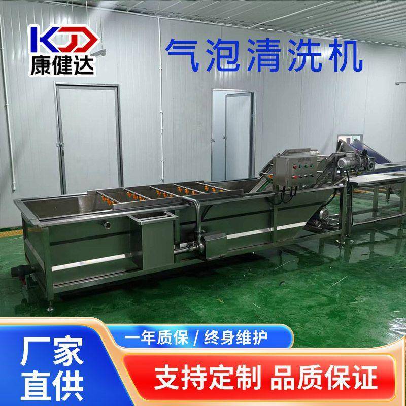 紫苏油麦菜果蔬气泡清洗机荠菜加工设备菠菜油菜气泡清洗机