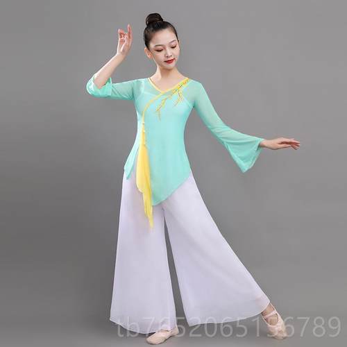 正品古舞蹈练人功演出形体训练女成身韵纱衣典网纱飘逸中国风服民