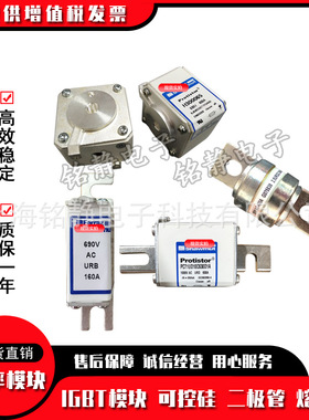 全新现货PC33UD69V700D1A  W300261熔断器