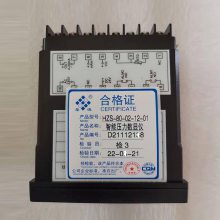 HZS-80-02-12-00 智能数字显示报警仪上海上润仪表