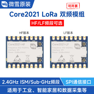 Core2021 LoRa双频模组 2021芯片 低功耗多协议物联网LoRaWAN