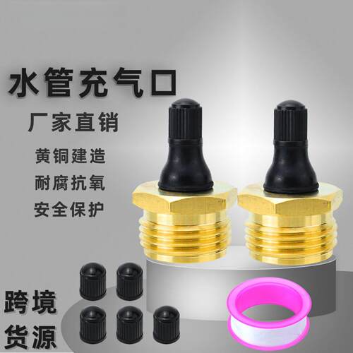 房车专用无铅铜气嘴防冻吹气口