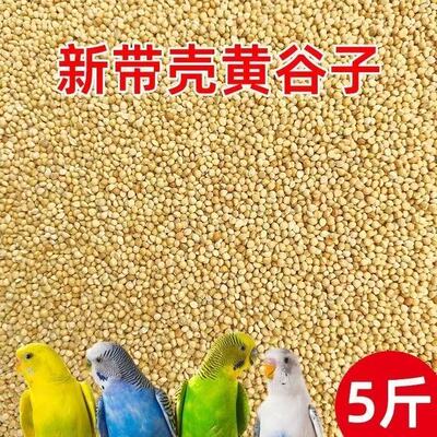 鸟粮新黄谷子中小型鹦鹉饲料食虎皮玄凤牡丹带壳小米食物粮食5斤