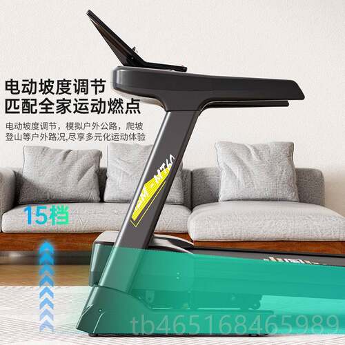 高档海斯 曼62024新坡款跑步机家用款磁悬浮M减震静音爬机健身房