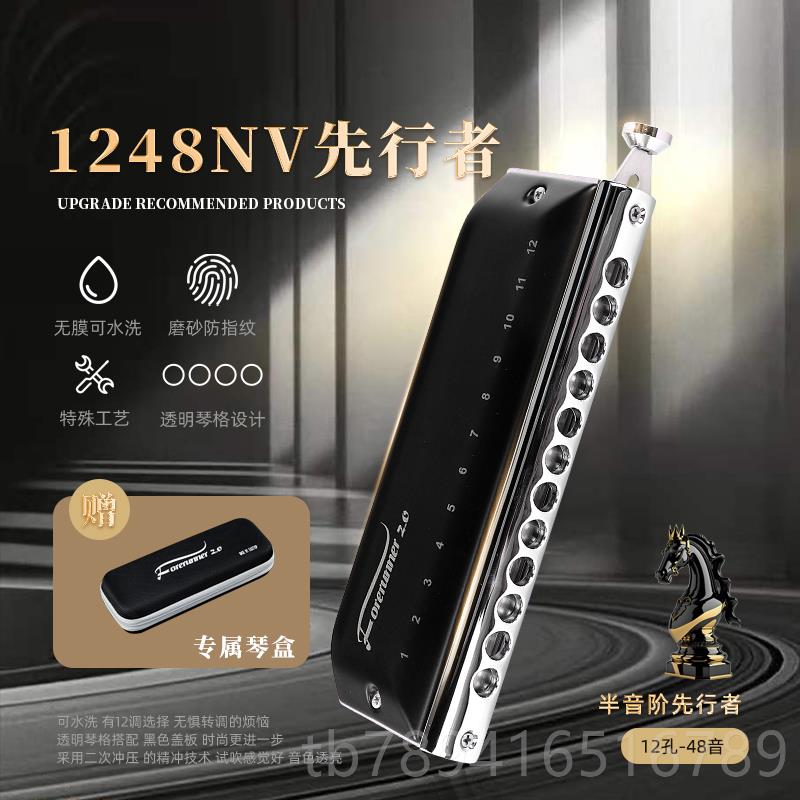 高档东方阶鼎先者12孔无膜半口音琴C调T1行248NV学生用入门专业演