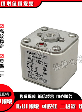 170M3318 170M3319 170M3320 170M3321熔断器 巴斯曼