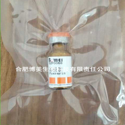 槐定碱  实验标准品  HPLC  ≥98% 20mg   CAS:6882-68-4