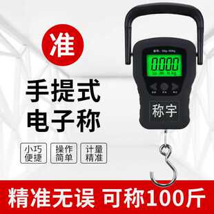 钓鱼弹簧称迷你小型电子称重50公斤 顺丰快递专用手提称50kg便携式