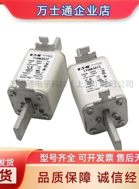 170M3016170M3017170M3018170M3019170M3020熔断器原装量大价优