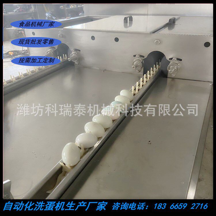 大型双排水循环自动洗蛋机 尼龙毛刷鸡蛋清洗机 厂家免费试机