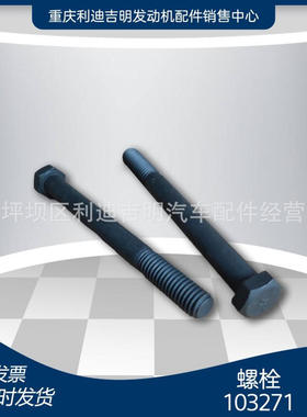 k19 k38发电机组配件 Nt855 发动机零件 螺栓103271