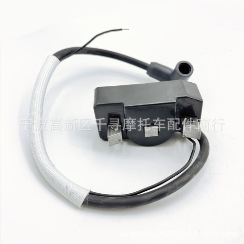 高压包 WM80 BH22 BS30 BS50 BS600 BR52Y BS65Y 0049598