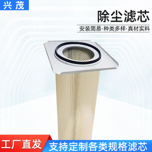 厂家生产除尘滤芯工程机械配件XM C1165喷砂抛丸机静电喷涂滤芯