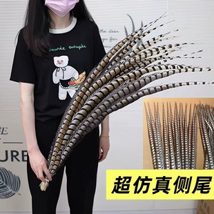 侧鸡尾翎子翎毛头饰京剧花旦头饰孙悟空表演羽毛山鸡毛戏曲道具