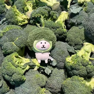 西兰花自嘲熊娃衣棉花娃娃可爱毛绒公仔生日礼物玩具玩偶挂件ZM