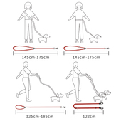 狗狗牵引绳可调节肩背跨v肩系腰斜跨一拖二中型犬小型犬狗绳