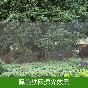 自粘黑白色窗纱防蚊 窗户防蚊纱窗纱网防蚊p窗纱沙窗纱网家用自装