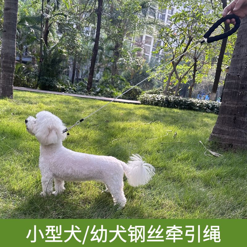 狗狗防咬牵引绳小型犬遛狗绳幼y犬2斤3斤猫绳兔绳博美小体犬牵狗