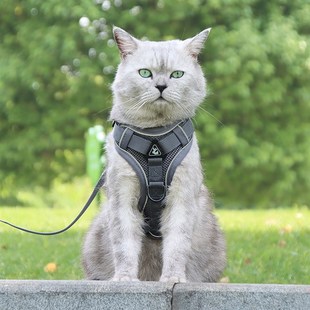 布偶猫G宠物背带可调节胸背遛猫绳 猫咪牵引绳防挣脱外出背心式