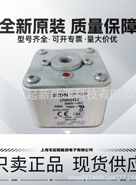 170M5412 170M5413 170M5414 170M5415 170M5416 巴斯曼熔断器