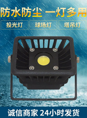 供应10W12W泛光灯/亮化外墙楼道电梯机械设备使用/LB-FS100-WAAA