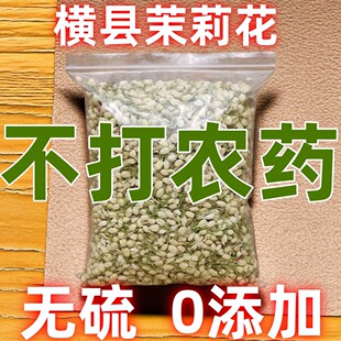横县2024新茉莉花干花苞特级浓香型无硫无农残食用熬夜养颜孕妇茶
