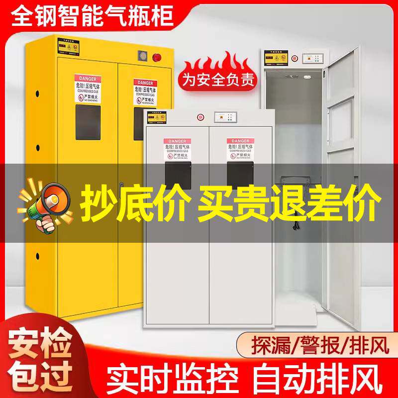 气瓶柜防爆安全柜乙炔氧气液化气体双瓶煤气罐柜实验室钢瓶储存箱