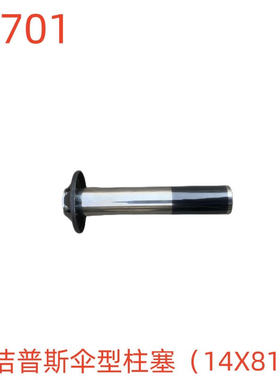 洁普斯伞型柱塞（14X81）-22701号