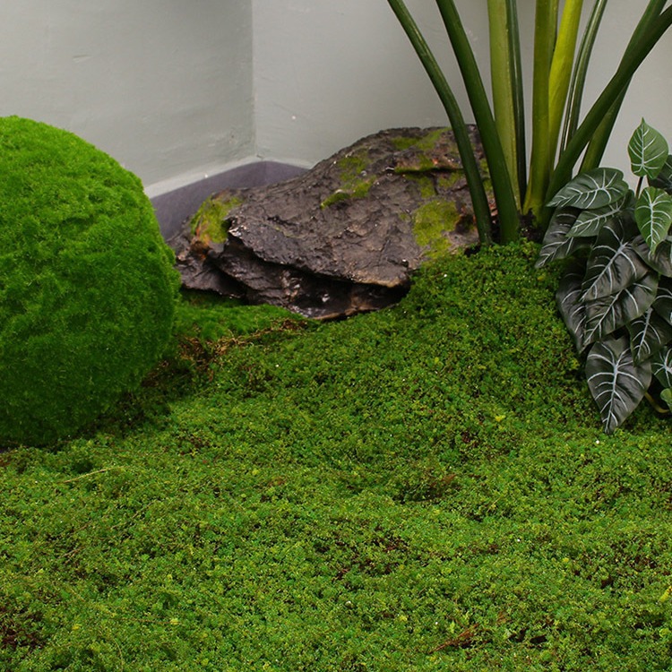棕丝仿真青苔绿草皮假苔藓摆件园林造景苔藓球装饰绿植墙人造草坪