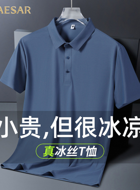 凯撒大帝冰丝男士短袖T恤夏季薄款2025年新款爸爸装翻领速干上衣J