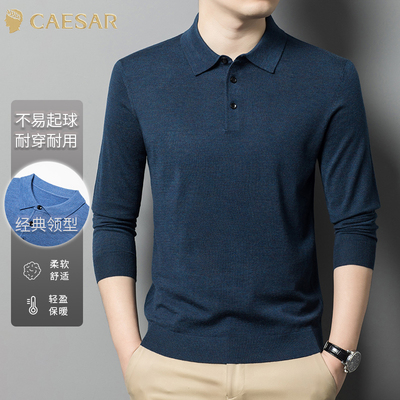 凯撒大帝男士翻领针织衫秋冬季