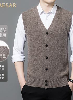 凯撒大帝2025年秋季新款男士中老年爸爸装无袖V领中年马甲上衣男J