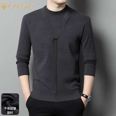 凯撒大帝2025年秋季新款男士纯色休闲百搭中年爸爸装上衣针织衫J