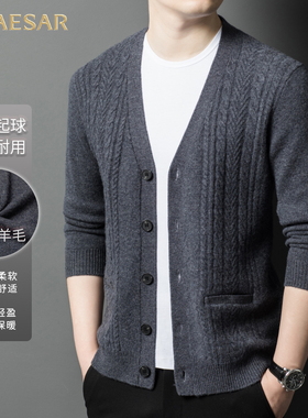 凯撒大帝2025年男士纯色时尚男士百搭中年爸爸装上衣针织衫上衣J