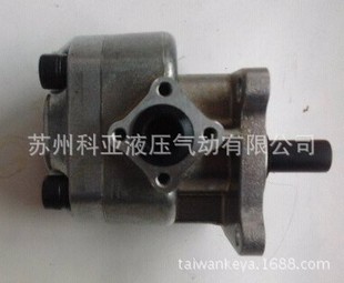 F319RN F130R F125R F140R RGP 台湾锐力齿轮泵RGP