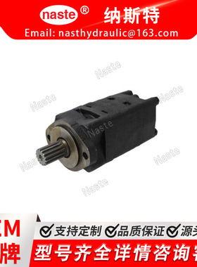 305943  液压马达