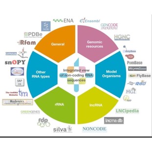 基因家族表达模式 转录组数据 热图 组织特异性 诱导表达
