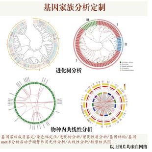 实验外包定制化生物实验数据分析蛋白细胞服务